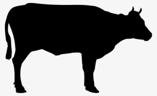 Bull Head Vector Png Picture - Black And White Cow Png #126817