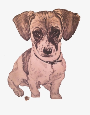 Raider The Puppy - Dog #126963