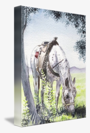 "appaloosa Rogue" Watercolor Painting By Jillian Crider - Grazing #127028