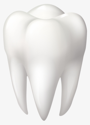 Tooth Molar Png Clip Art - Molar Clipart #127286
