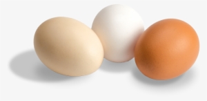 Eggs - - Egg #127584