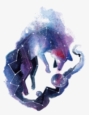 Arctic Fox Red Fox Gray Wolf Deer - Galaxy Fox #127657