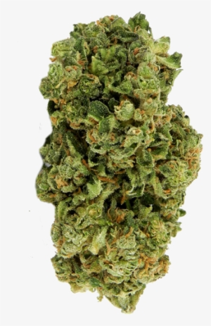 Biomeds - Women Think Men Want What Men Really Want Weed #128000