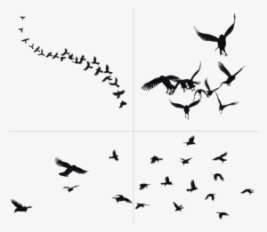 Crows In Flight Png Stock By Roy - Group Of Crows Png #128026