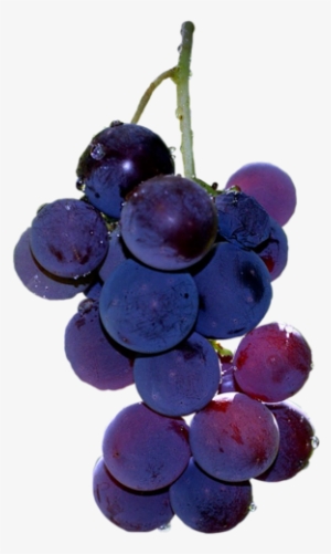 Watercolor Painting #128669