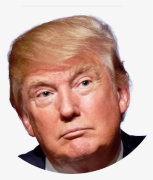 Trump - Logan Paul Looking Like Trump #128970