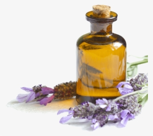 Lavender Oil - Essential Oils Private Packaging #129004