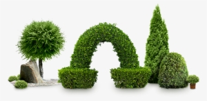 Bushes Png Image Without Background #129579