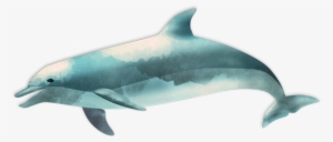 Download Png Image Report - Ocean Fish Png #129730