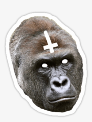 Memes - Transparent Harambe #129731