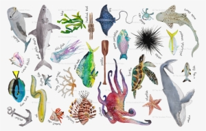 Under The Sea Alphabet Wallpaper - Sea #1200068