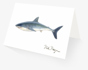 Great White Shark #1200183