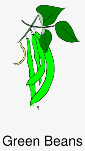 How To Set Use Green Beans Clipart #1200338