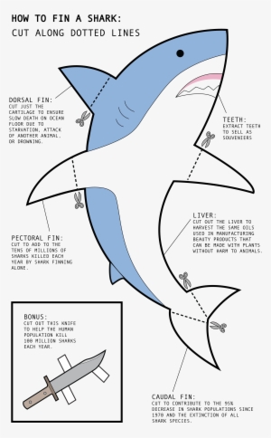 Great White Shark #1200481