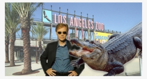 Los Angeles Zoo #1201231