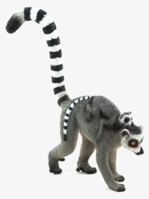 Mojo Lemur #1202616