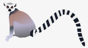 This Free Icons Png Design Of Lemur #1202658