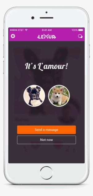 Lemur - Korgi #1203141