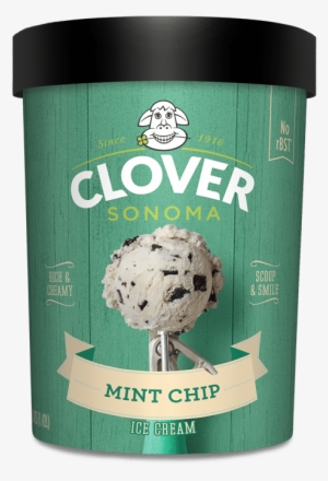 Mint Chocolate Chip - Clover Sonoma Ice Cream #1203184