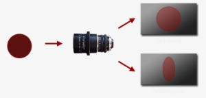 Anamorphic Lenses Are Specialty Tools Which Affect - Anamorphic And Spherical Lenses #1203185