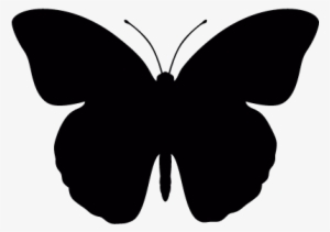 Butterfly Vector - Butterfly Icon Png #1203229
