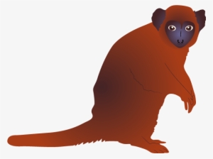 Bamboo Lemur #1203352