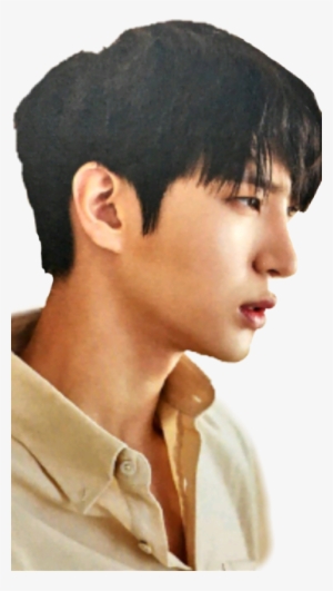 Taekwoon Vixx Vixx Leo #1203676