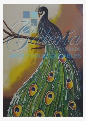 Ill - Peafowl #1203905