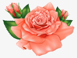 Peach Flower Clipart Orange - Orange Rose Png Clipart #1205374
