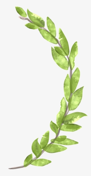 This Graphics Is Victory Branch Cartoon Transparent - Cartoon #1205914