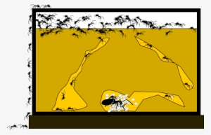 This Free Icons Png Design Of Ant Farm #1206120