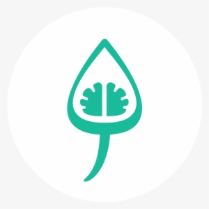 Docady Israel Ltd. #1206223