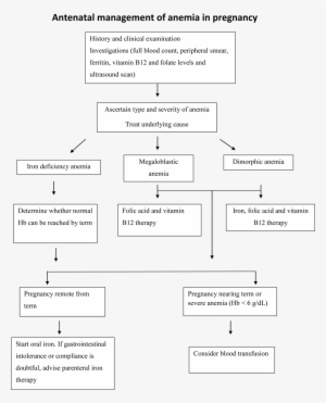 Effects Of Anemia In Pregnancy - Management Of Anaemia In Pregnancy #1206696