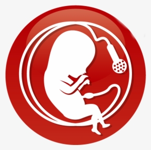 Violinist Analogy #1206739