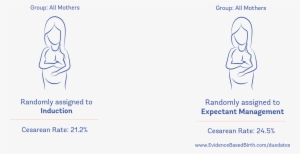 5%), Even After Taking Into Account Whether This Was - Drawing #1207015