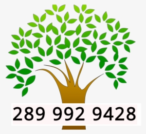 20% Off Tree Removal - Tree Logo Vector Png #1207077