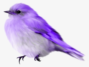 Album - Blue Bird Gif Transparent #1207902