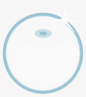 Mb Image/png - Circle #1208278