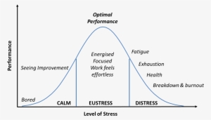 Causes Of Stress In Project Management - Yerkes Dodson Curve Stress #1209233