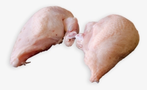 Chicken Breast Supreme - Earrings #1209326