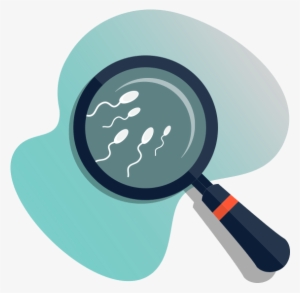 Male Seaman Analysis - Male #1209563