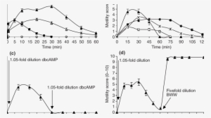 Activation Of Sperm Motility In 1 L Of Semen From The - Semen #1209605