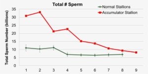 Sperm Accumulators Total Sperm Graph - Sperm Accumulation #1209990