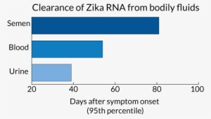 Transparent Semen Clear - Number #1210135