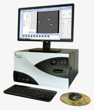 Ivos Ii Casa Ii Zoom Transp For Web - Casa Ivos Ii #1210198