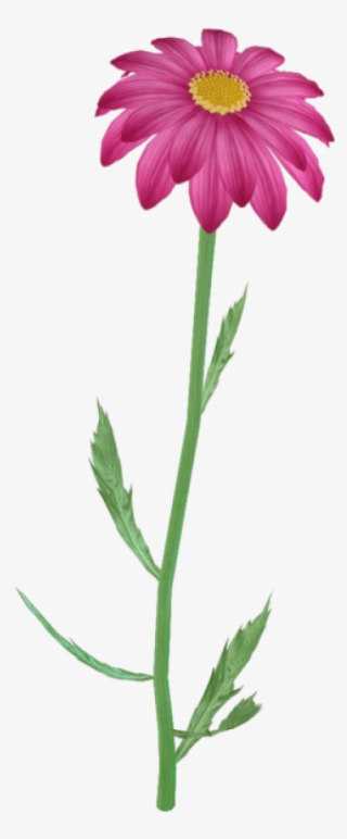 Flower Clipart Png, Purple Daisy, Pink Flowers, Flower - Steam Flower #1210398