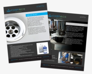 Cyaneco Flyers #1211475