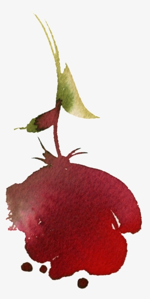 Pintado A Mano De La Flor Png Transparente Png Manchado - Flower #1212180