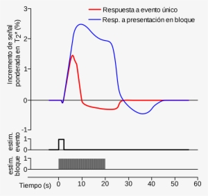 Open - Desoxihemoglobina Y Oxihemoglobina Stryer #1212395