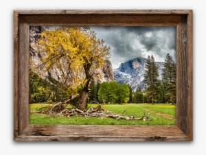Half Dome Meadow, Yosemite Canvas Print In Barnwood #1213613